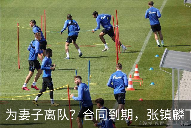 为妻子离队？合同到期，张镇麟下家4选1，广东2队有机会